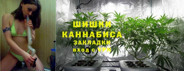 амф Богородицк