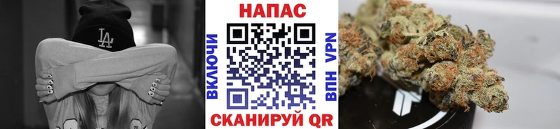 Бошки марихуана OG Kush  OMG маркетплейс  Шадринск  купить  